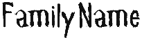 Family Name